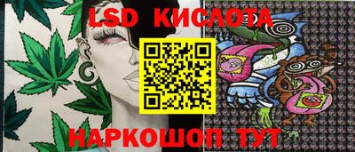 стаф Малгобек