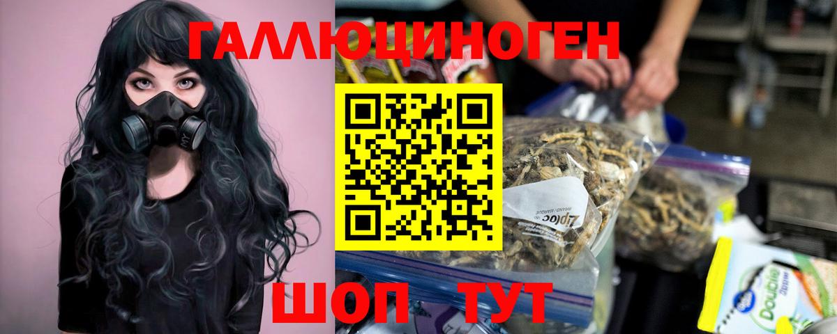 Псилоцибиновые грибы прущие грибы  Вход с VPN  Горячий Ключ 